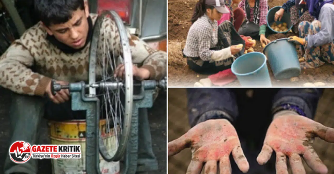 TÜRKİYE'DE ÇOCUK OLMANIN BEDELİ RAPORU