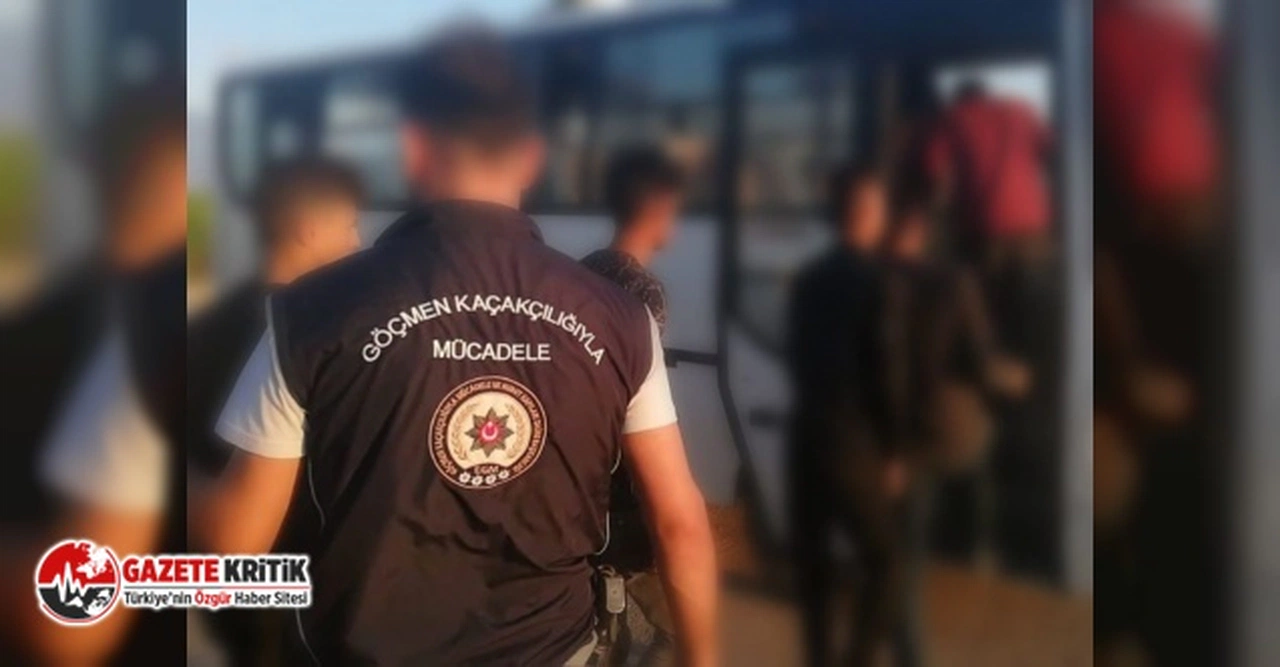 Ali Yerlikaya: 80 göçmen kaçakçılığı organizatörü yakalandı
