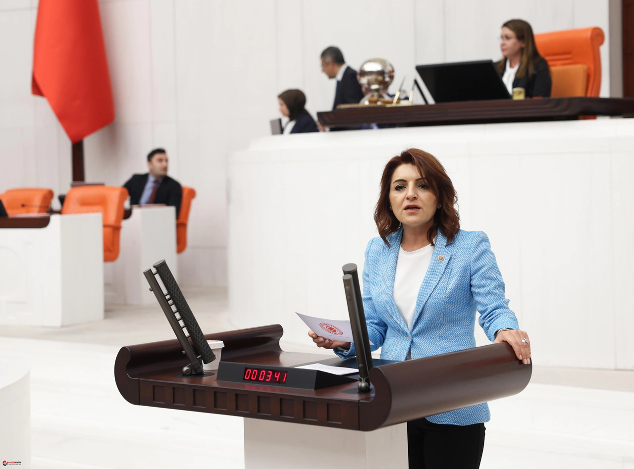 CHP'li Kış, son 7 ayda meydana gelen rekor otobüs kazalarını TBMM'ye taşıdı