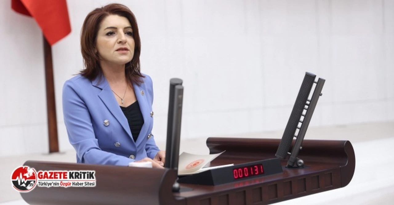 CHP Milletvekili Kış, “Olası Bir Depremde, Türkiye’yi Büyük Tehlikeler Bekliyor”