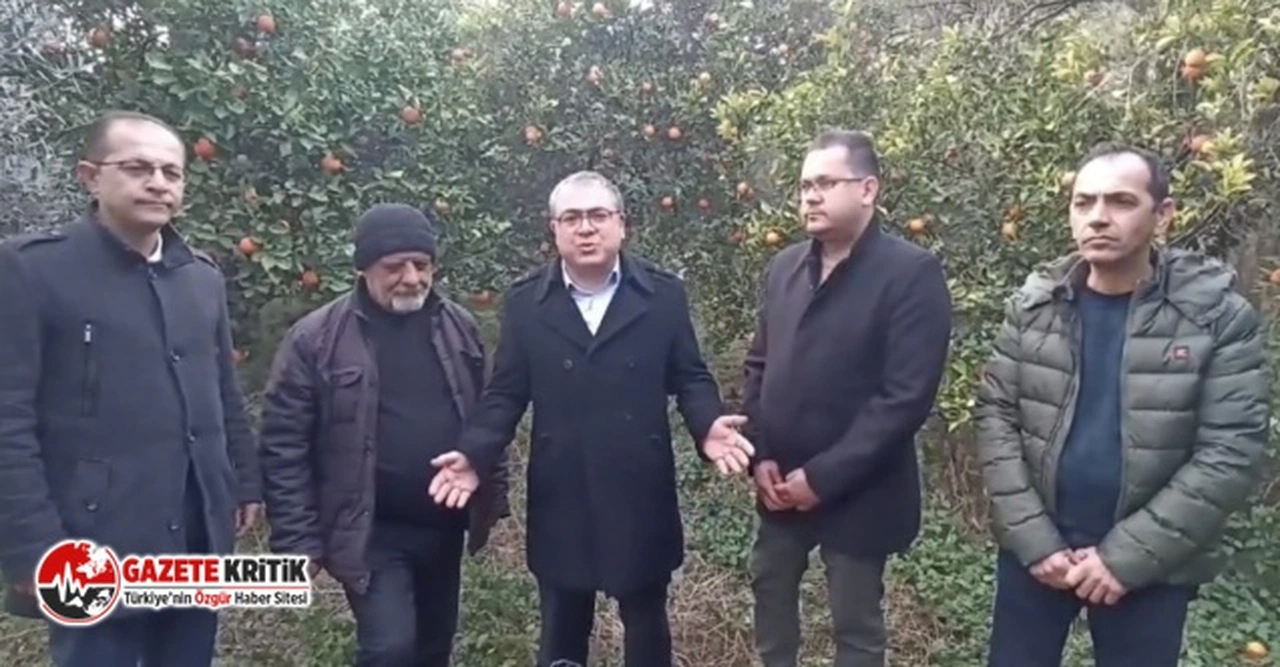 CHP’Lİ EVRİM KARAKOZ: “NARENCİYE DALDA KALDI, ÜRETİCİ AĞAÇLARINI SÖKÜYOR”