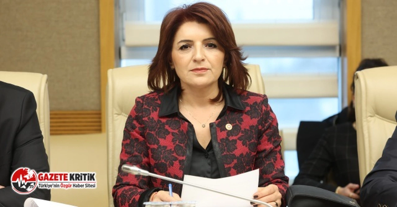 CHP'Lİ GÜLCAN KIŞ:“BİR MESLEK YOK EDİLİYOR”