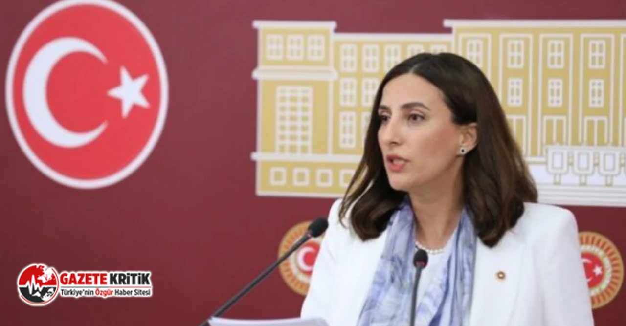 DEVA Partisi Milletvekili Rızvanoğlu İliç’te yaşanan çevre felaketini TBMM gündemine taşıdı