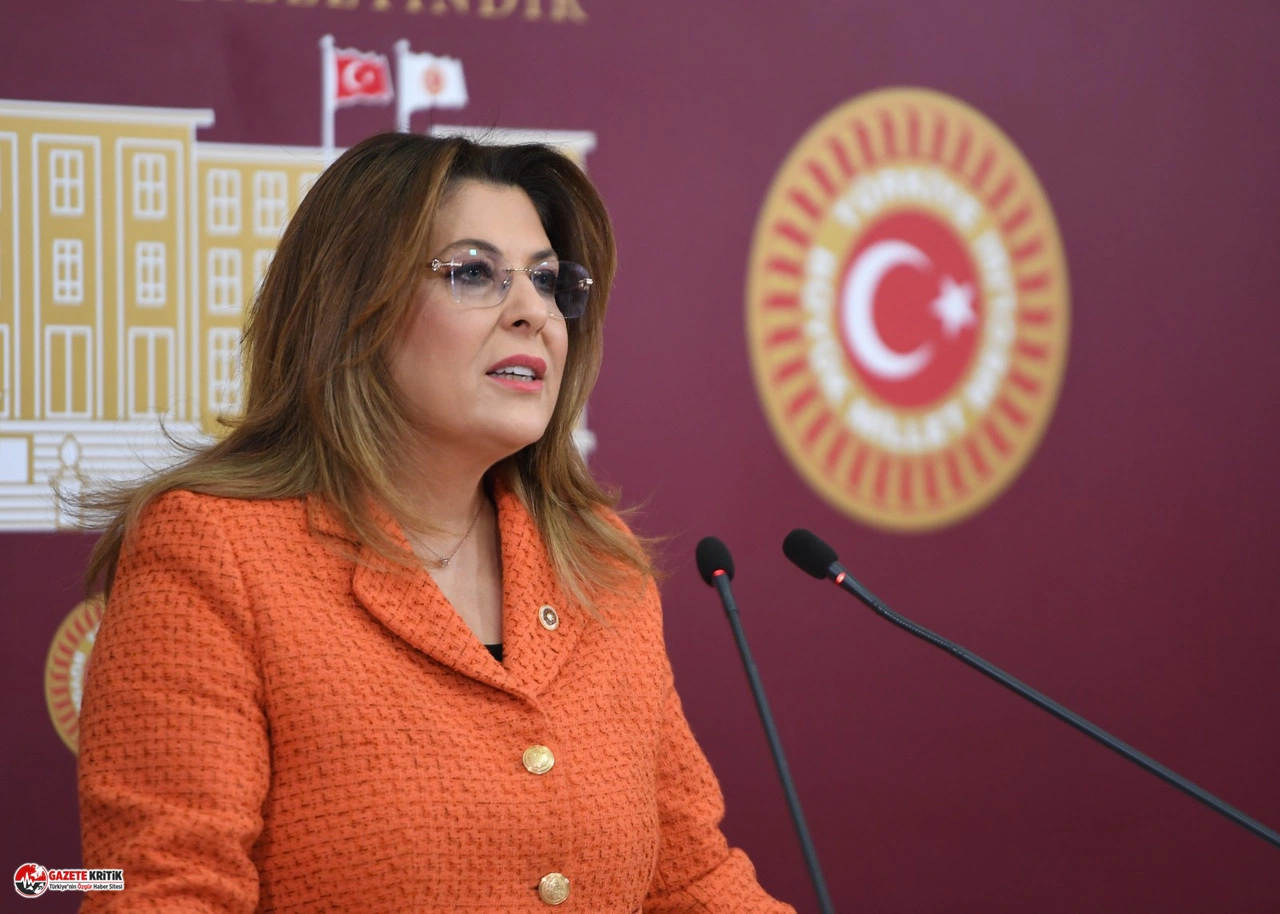 Elvan Işık Gezmiş, "Depremin yaraları sarılmadı, ilaç sorunu da toplum sağlığını toplum sağlını tehdit ediyor"