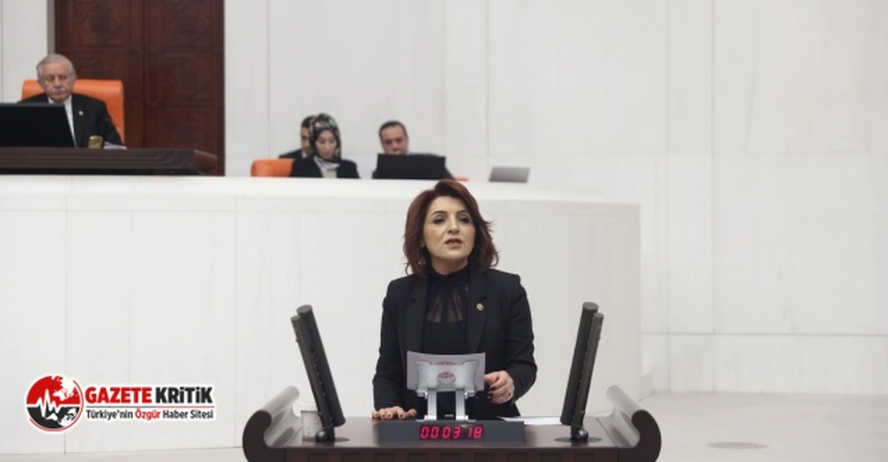 KIŞ: “ZEYTİNYAĞI FABRİKASINA BİLE SEÇMEN KAYDI YAPILMIŞ”