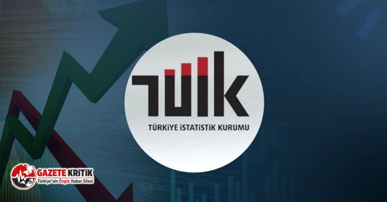 TÜİK İŞSİZLİK VERİLERİNİ AÇIKLADI: İSTİHDAM ORANI 0,6 PUAN ARTARAK YÜZDE 48,8 OLDU