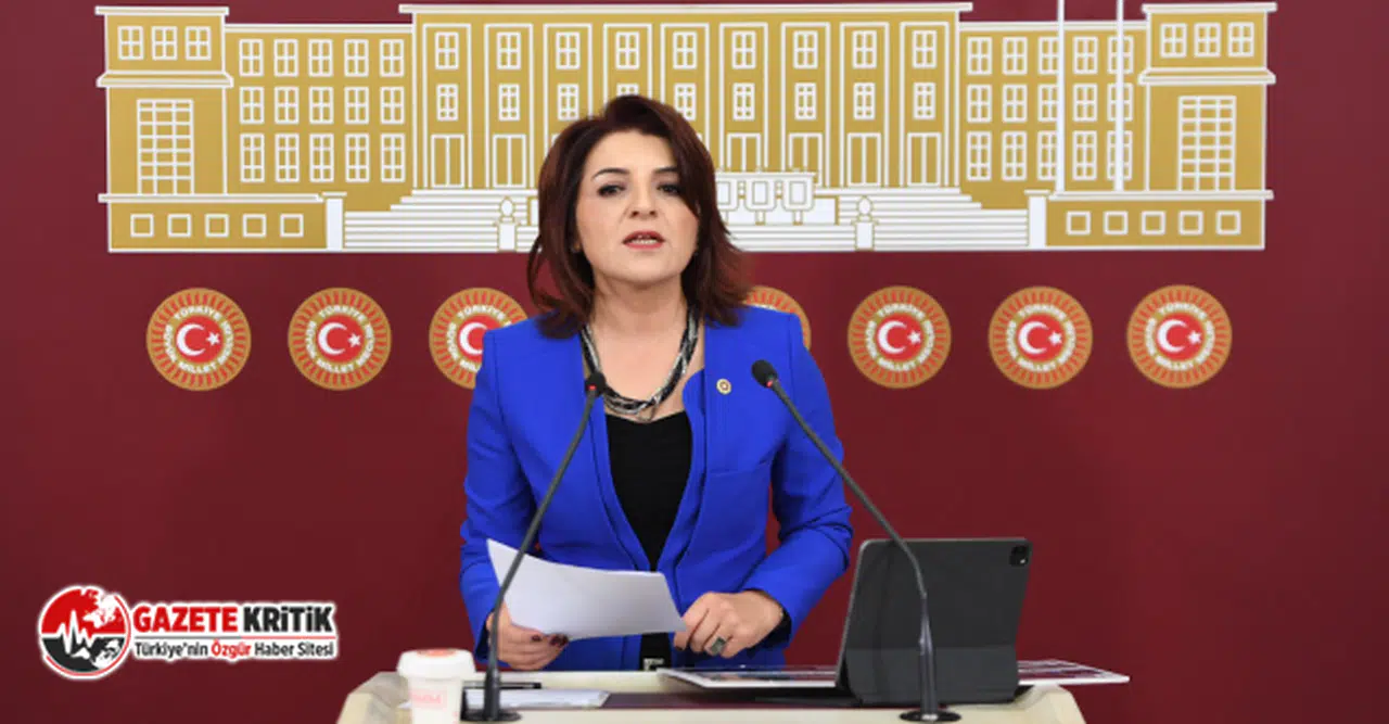 CHP’Lİ KIŞ, SEÇİM SONRASI EKONOMİK KRİZPANİĞİNİ TBMM GÜNDEMİNE TAŞIDI