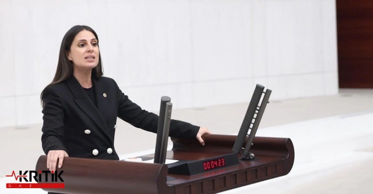 GİZEM ÖZCAN’DAN AYDIN AYAYDIN’A: KADRAJI GENİŞLET ARKANDAKİ SARAY, BAKANLAR, TROL ORDULARI DA GÖZÜKSÜN! 