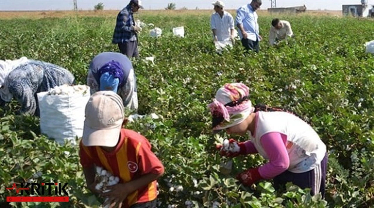 CHP'den çocuk işciliğin araştırılması için araştırma önergesi teklifi