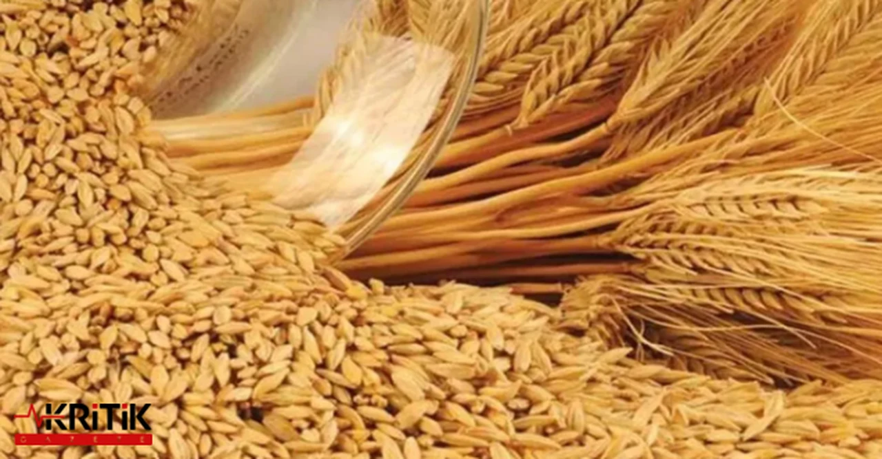 CHP'Lİ BARUT:"BUĞDAY TABAN FİYAT EN AZ 15 LİRA OLMALI"