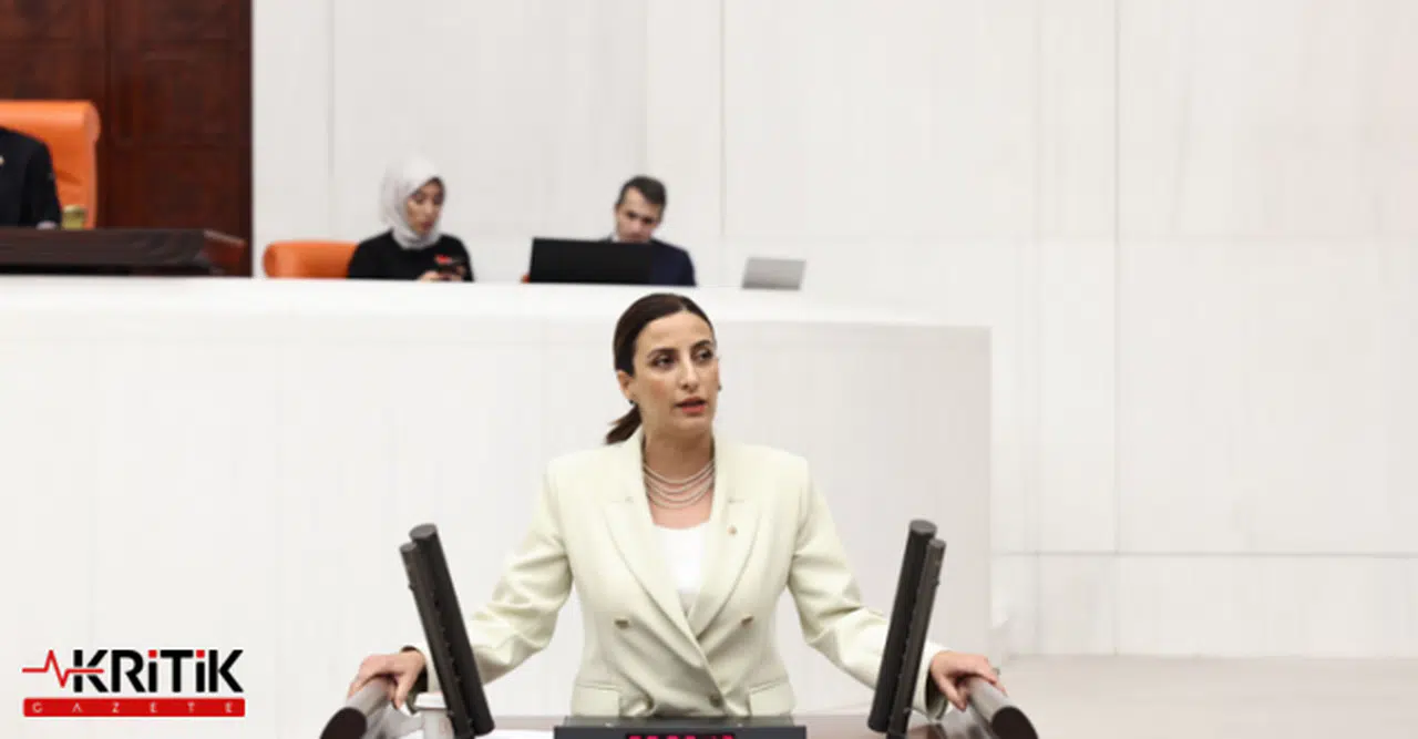 DEVA Partili Rızvanoğlu,Dilovası'ndaki Asbest Tehlikesini Meclis Gündemine Taşıdı
