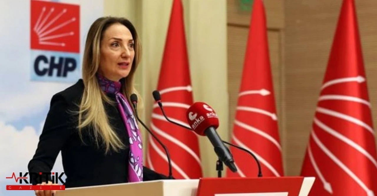 CHP'de Kadın Kolları Genel Başkanlığı için ilk resmi aday Aylin Nazlıaka