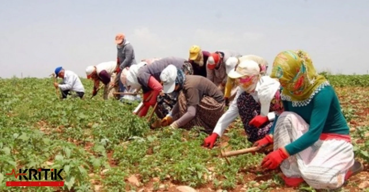 CHP'DEN MEVSİMLİK TARIM İŞÇİLERİ İÇİN TBMM’DE KOMİSYON TALEBİ