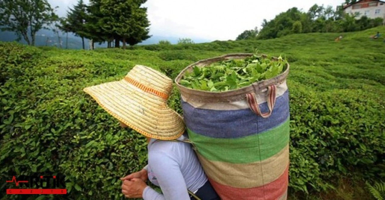 CHP GENEL BAŞKAN YARDIMCISI ERHAN ADEM: “ÜRETİCİ ZATEN PERİŞANDI DAHA DA PERİŞAN OLACAK”