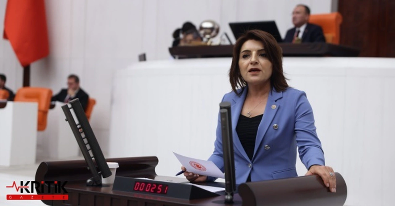 CHP'li Gülcan Kış:Akp, İmar Plansız Enerji Santrallerine Kapı Aralıyor
