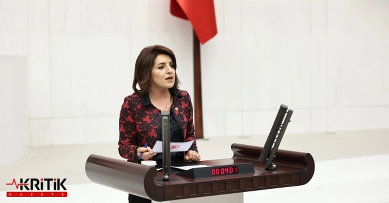 CHP'Lİ KIŞ:BEYAZ ET FİYATLARI ARTTI, HÜKÜMET FATURAYI ÜRETİCİYE KESTİ