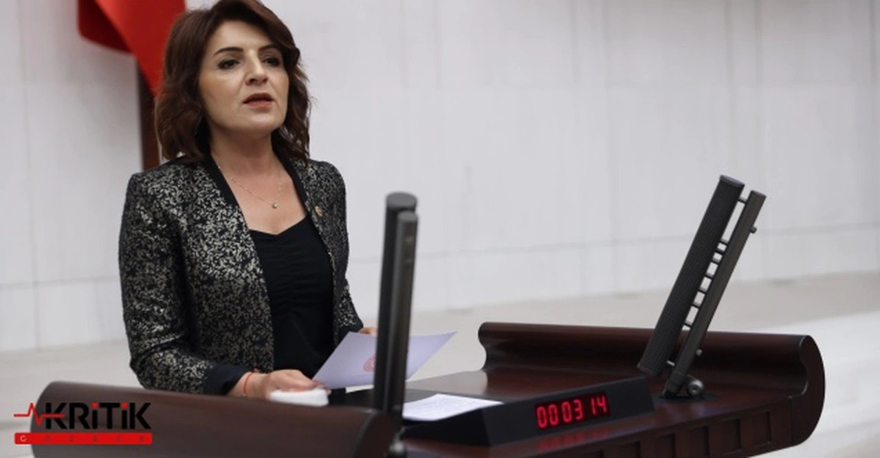 CHP'Lİ KIŞ:ÇİFTÇİYİ, ÜRETİCİYİ KALKINDIRACAK ÖNLEMLER ALINMALI