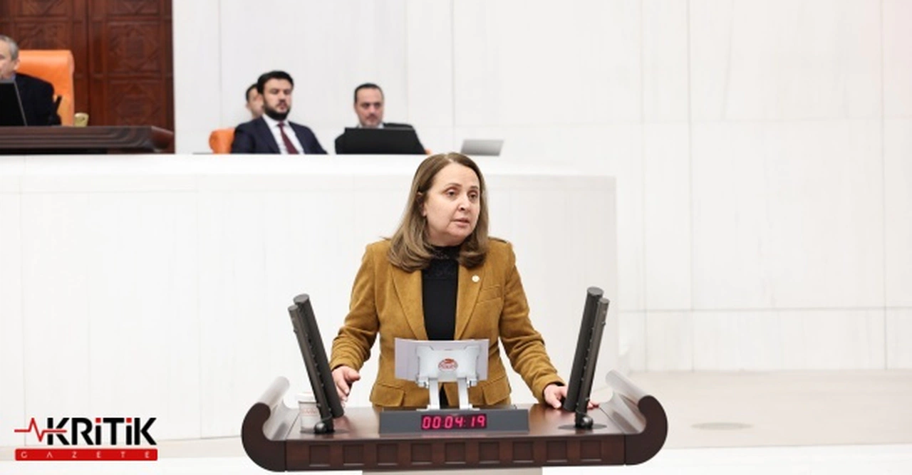 CHP'li Semra Dinçer:AKP’nin Kölelik Düzeninde Emek Ucuz, Ekmek Pahalı