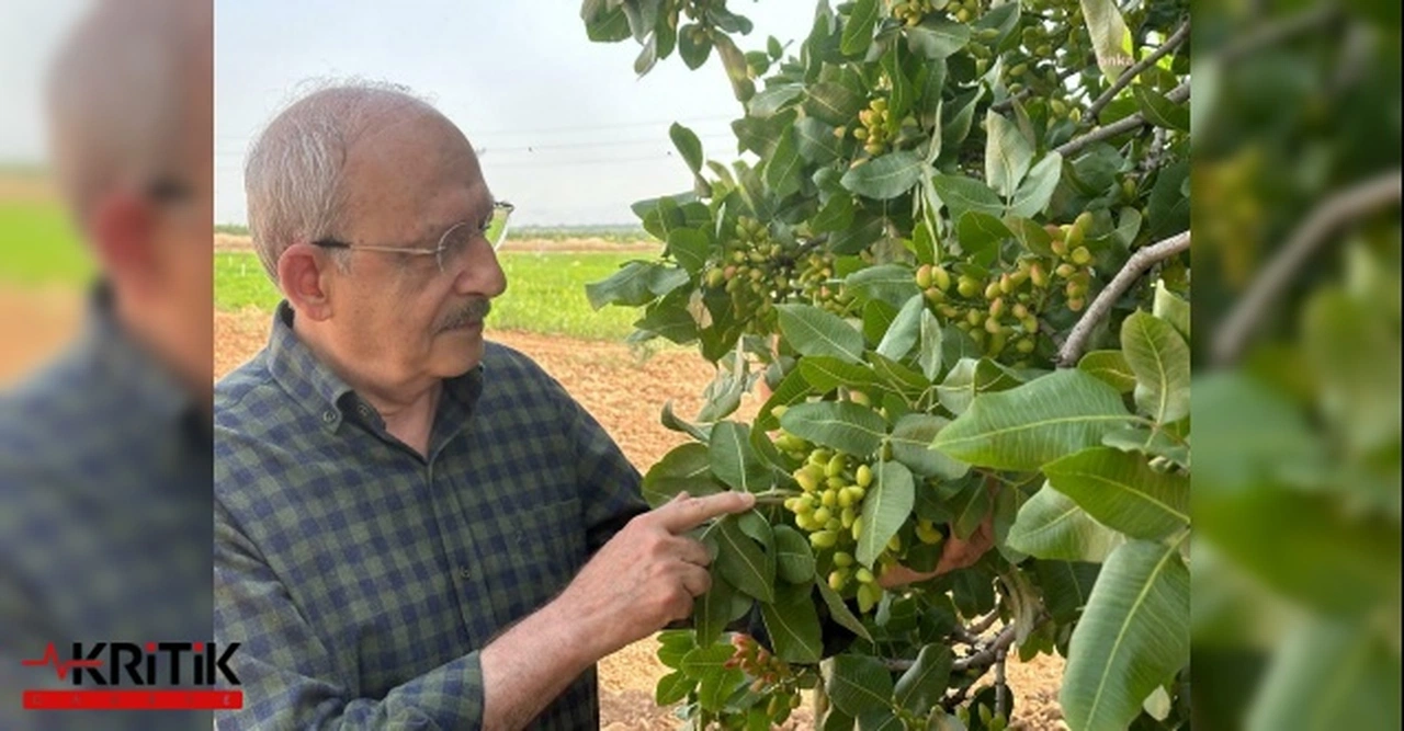 Kılıçdaroğlu, Suriye sınırında bir köy evine misafir oldu