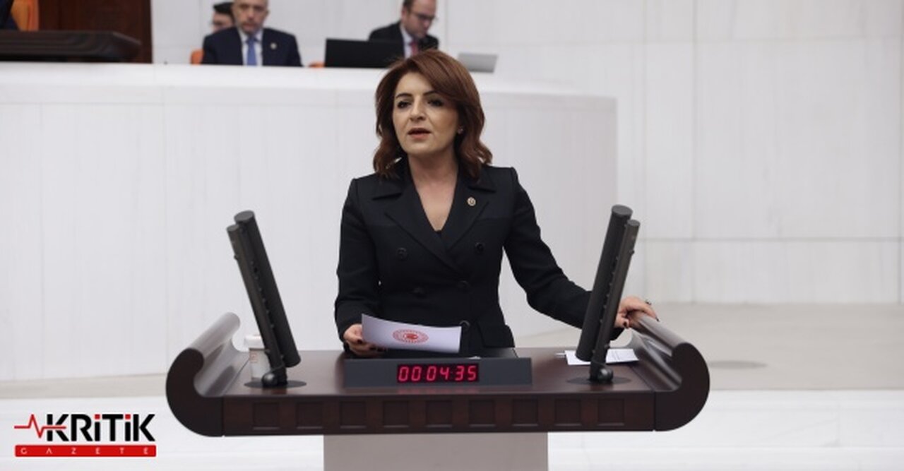 Mersin Milletvekili Gülcan Kış, Otizmli Çocukların Ve Ailelerinin Sesi Oldu