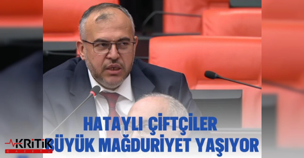 Saadet Partili Çalışkan: Hatay'daki tarlalar milli serverttir