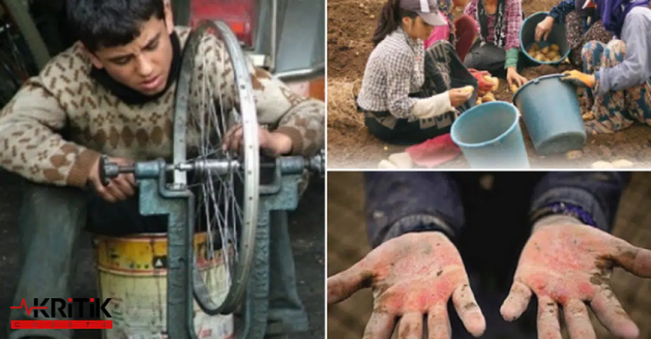 Son 11 yılda en az 689 çocuk işçi ve en az 2500 genç işçi hayatını kaybetti