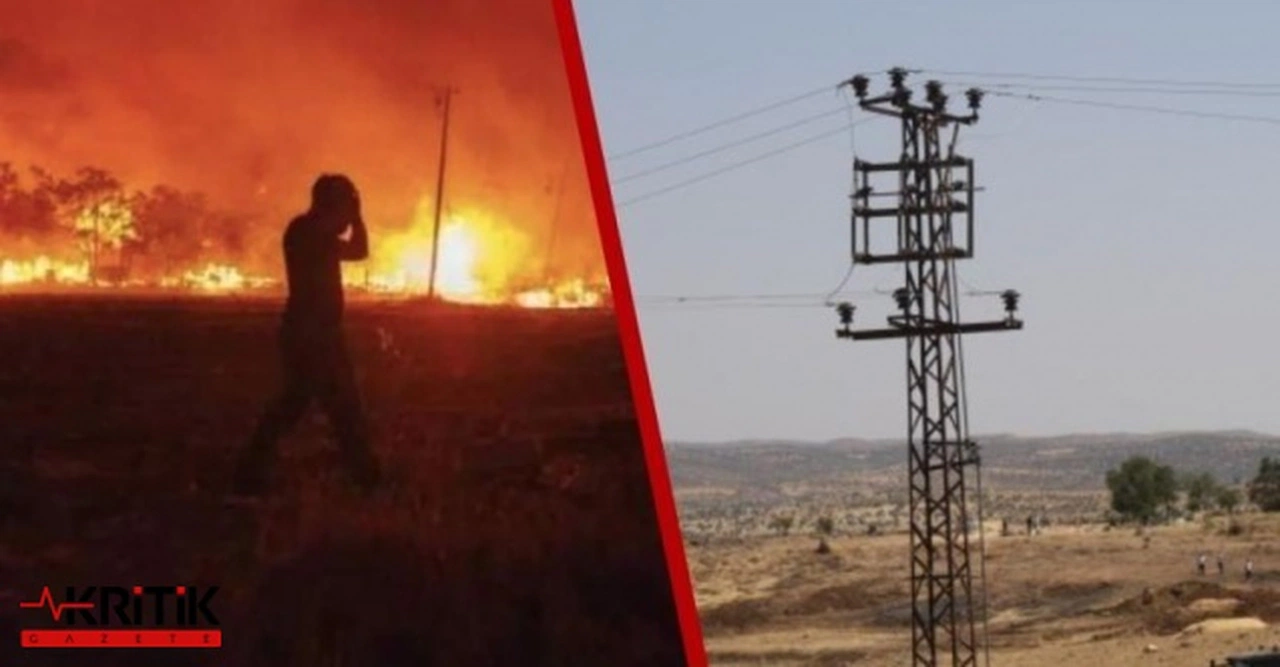 2021 yılında enerji nakil hatlarından kaynaklı yangınlarda 37 bin hektarlık alan kül oldu