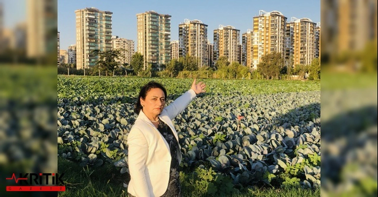 CHP, Çukurova “Afet Bölgesi” ilan edilmelidir