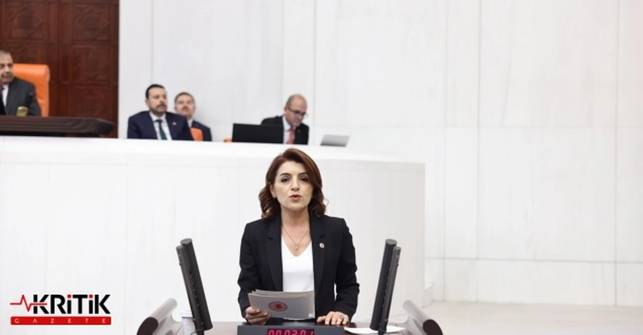 CHP’Lİ KIŞ TİCARET BAKANI’NA SESLENDİ: “KURBAN BAYRAMI FIRSATÇILARINA GEÇİT VERMEYİN”