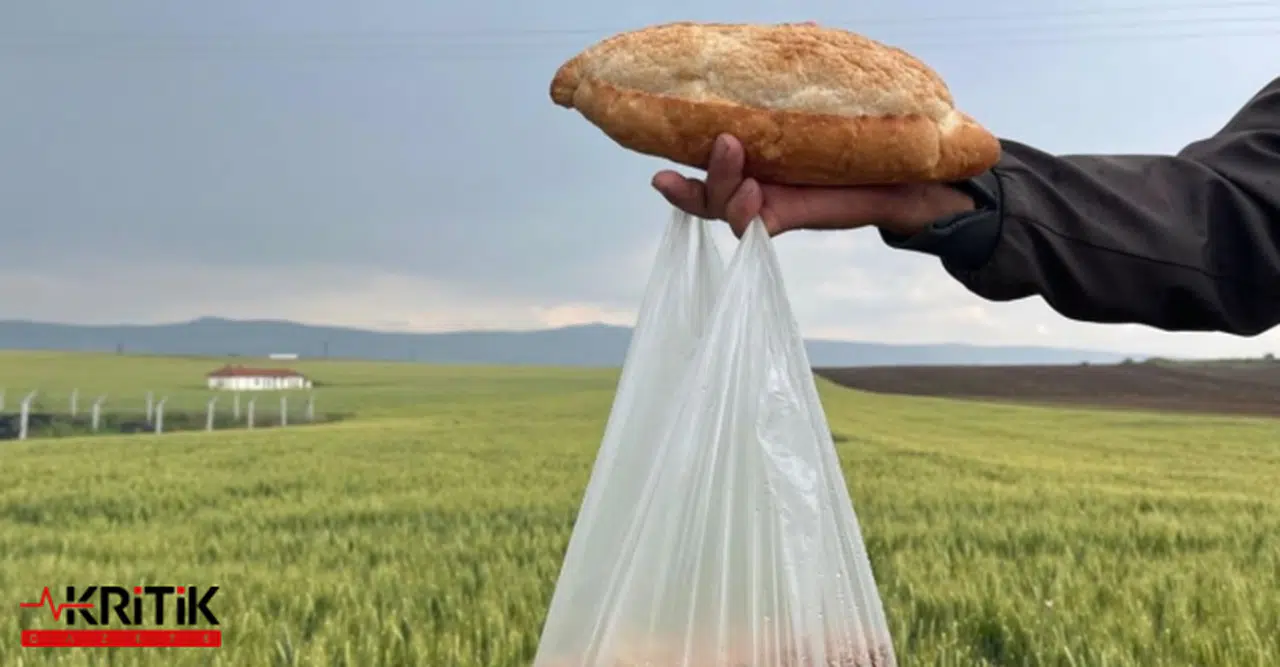 ÇİFTÇİ, 1 KİLO BUĞDAY PARASIYLA 1 EKMEK ALAMIYOR