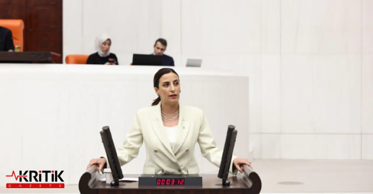 DEVA Partili Evrim Rızvanoğlu, Diyarbakır-Mardin yangını Meclis gündemine taşıdı