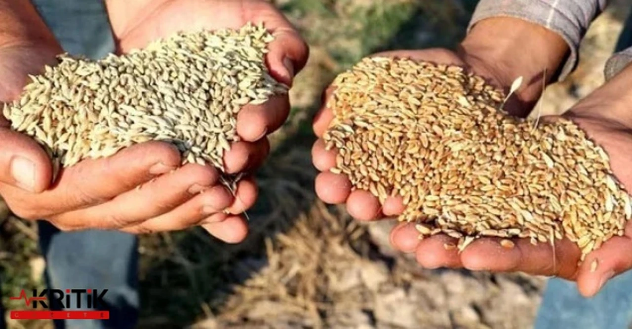 İYİ Partili Dursun Ataş, buğday ve arpa alım fiyatına sert tepki gösterdi!