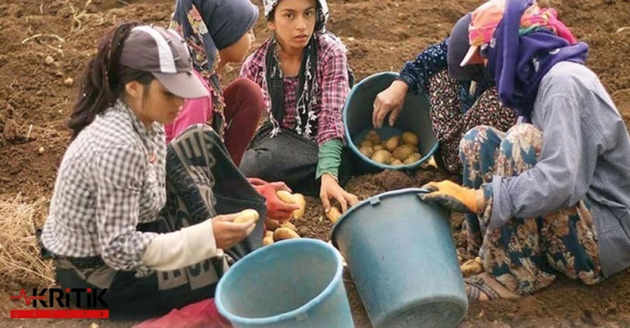 Türkiye'de Yarım Milyon Çocuk Zorunlu Eğitim Dışında