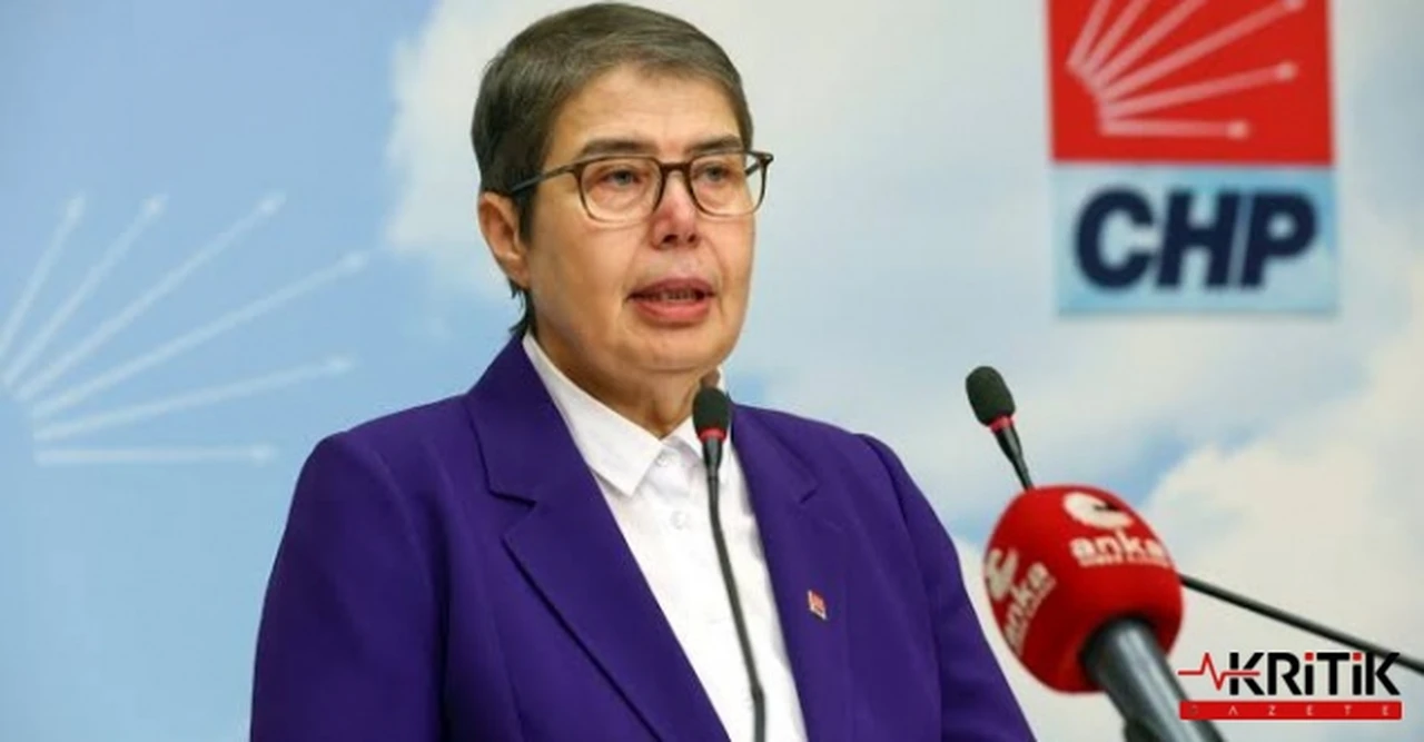 CHP: "AKP'NİN SOKAK HAYVANLARI YASASI UYGULANAMAZ"