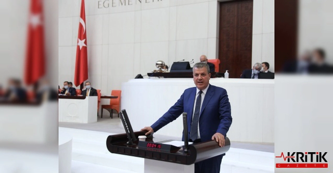 CHP'li Barut'tan sokak hayvanları yasası çıkışı:Belediyelerimizle halkımızı karşı karşıya getirme çabası nafiledir