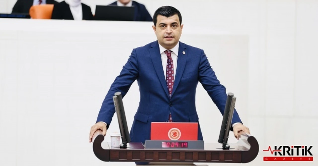 CHP'li Deniz Demir:Cumhurbaşkanına hakaret” gerekçesiyle yargılanan sanık sayısı her yıl artıyor