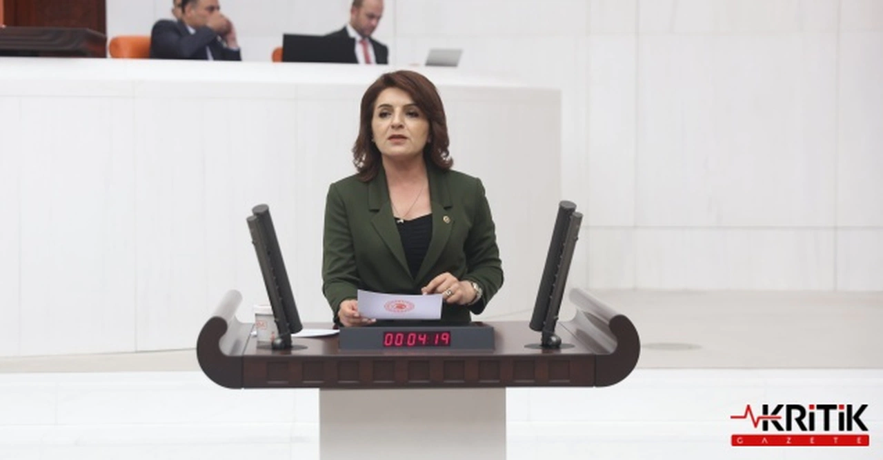 CHP MERSİN MİLLETVEKİLİ KIŞ, GERİCİ, ÇAĞDIŞI, ÖĞRETMENİN ADINI YOK SAYAN YASA TEKLİFİNE TEPKİ GÖSTERDİ