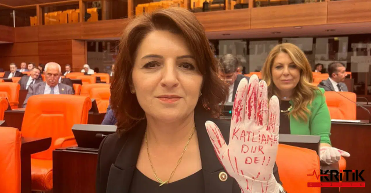 CHP’li Gülcan Kış: Sokak hayvanlarıyla ilgili kanunun sonu katliamdır