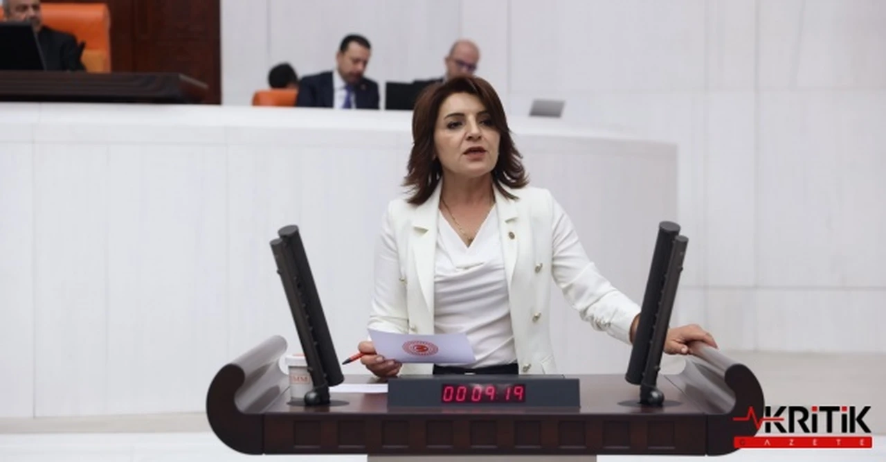 CHP’Lİ KIŞ: “AKP’NİN KATLİAM YASASINA HAYIR DİYORUZ”