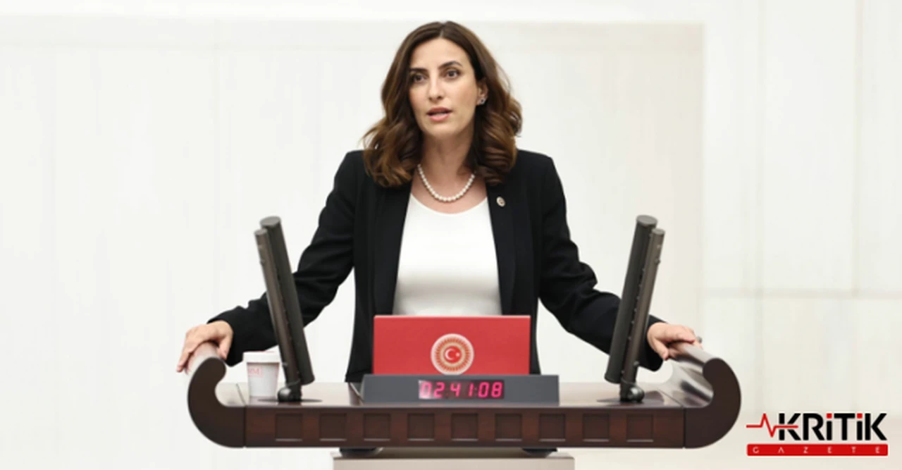 DEVA Partili Rızvanoğlu:Sahipsiz sokak hayvanları meselesi iktidarın katkısı ile büyüdü büyütüldü