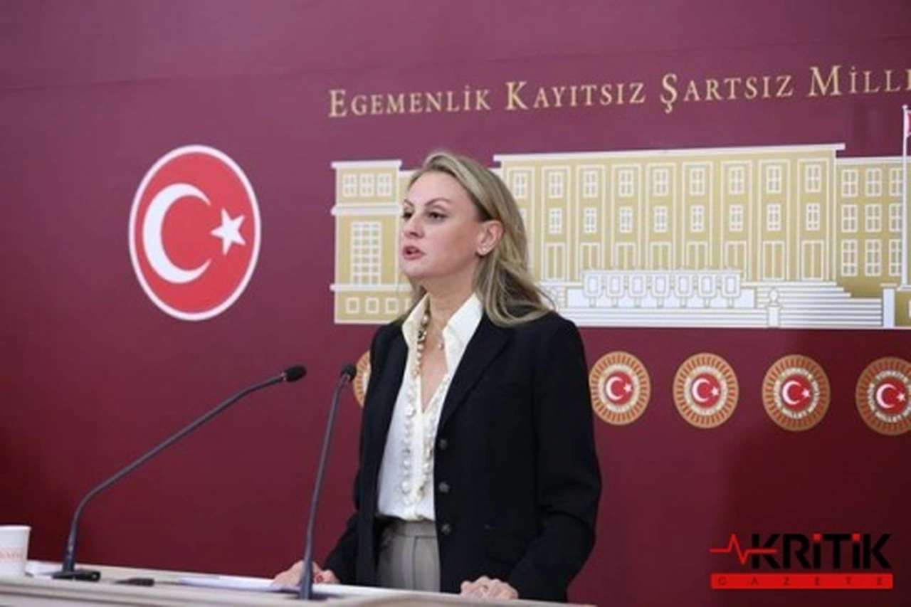 DEVA Partili Seda Kaya:İktidarın getirdiği kanun sokak hayvanları sorununa çözüm getirme amacından uzak