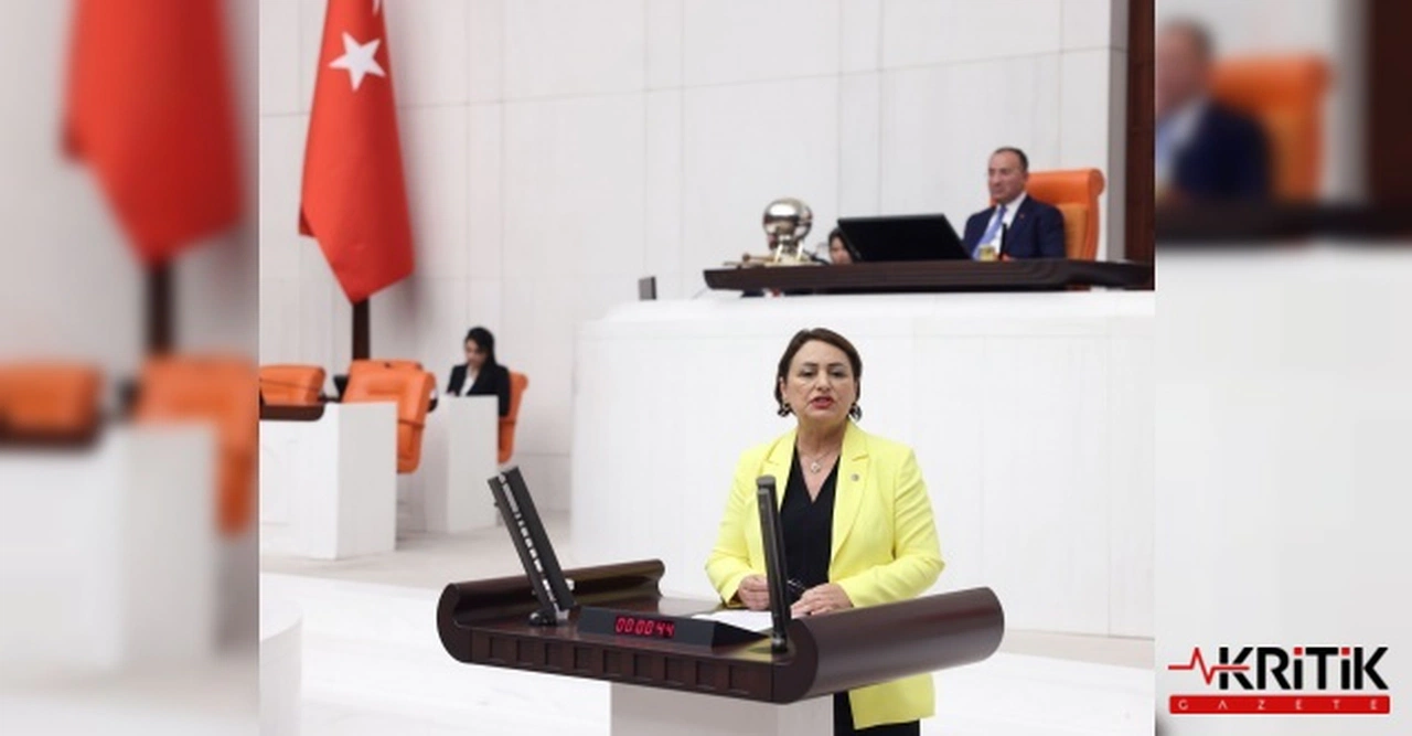 CHP'li Şevkin:Hükümet-şirket kavga etti, kaybeden 18 bin vatandaş oldu