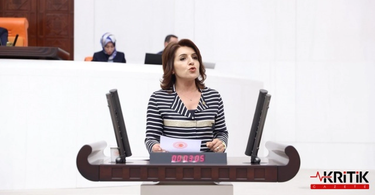 ÇUKUROVA HAVALİMANI VE DEVLET BANKALARI KREDİLERİ TBMM GÜNDEMİNDE