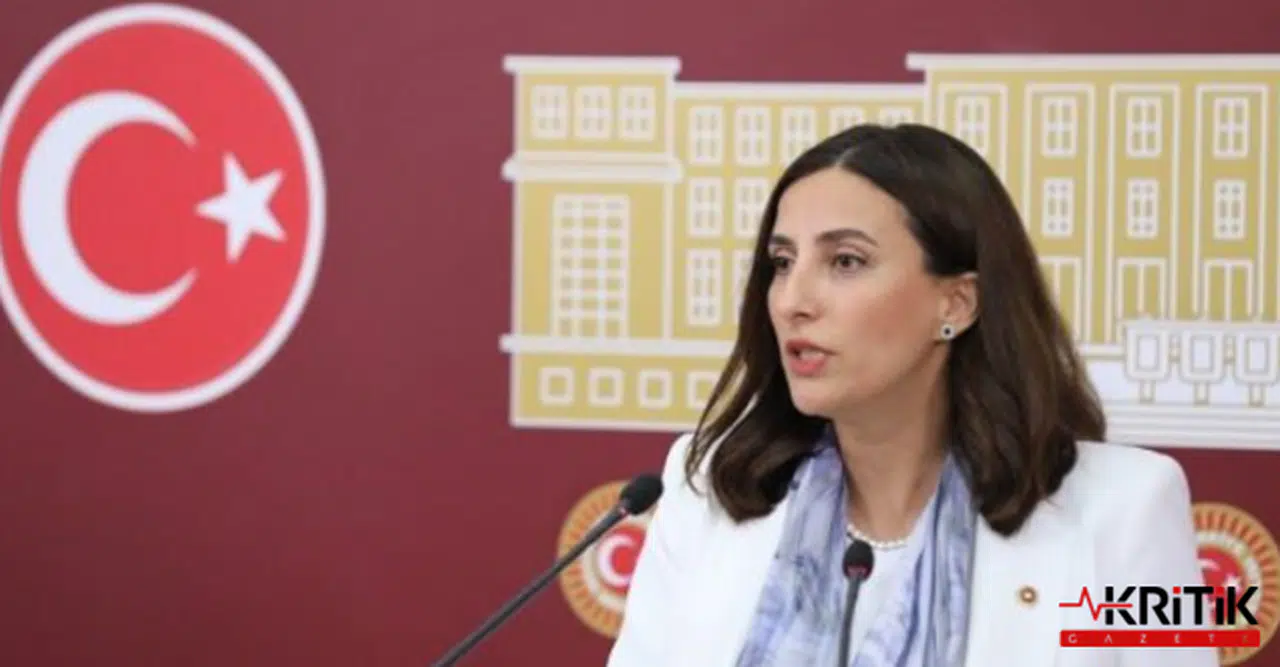 DEVA Partili Evrim Rızvanoğlu:HES projesi ile ekosistem ve tarihi doku tehlikede