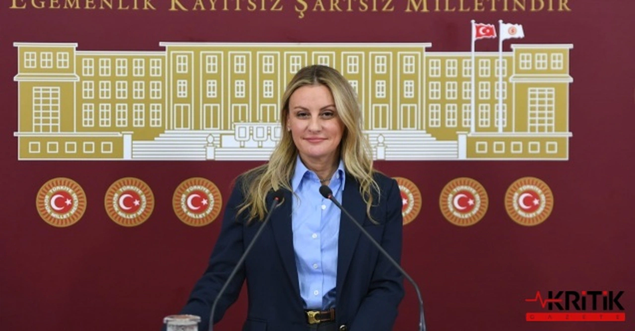 İzmir Milletvekili Seda Kaya Ösen, “Geleceğe Miras Projesi” kapsamındaki arkeolojik kazılarla ilgili iddiaları sordu