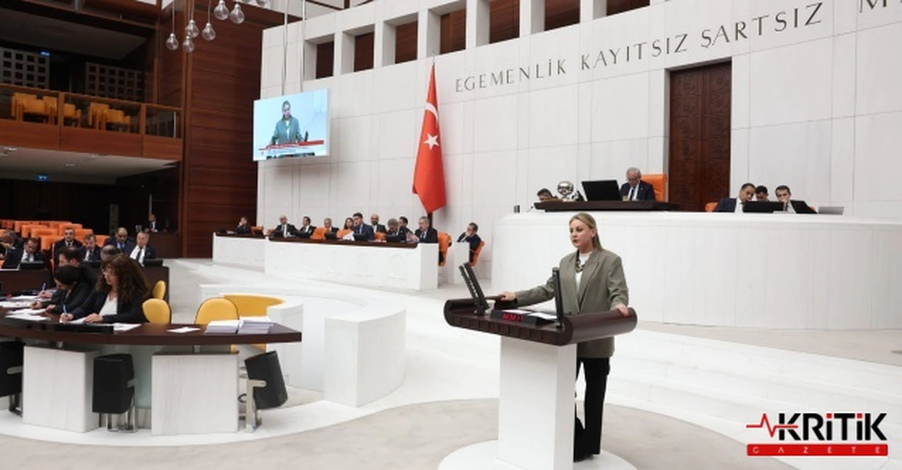 İZMİR MİLLETVEKİLİ SEDA KAYA:ÖNLEM ALINMAZSA BU YIL DOMATES TARLADA KALACAK