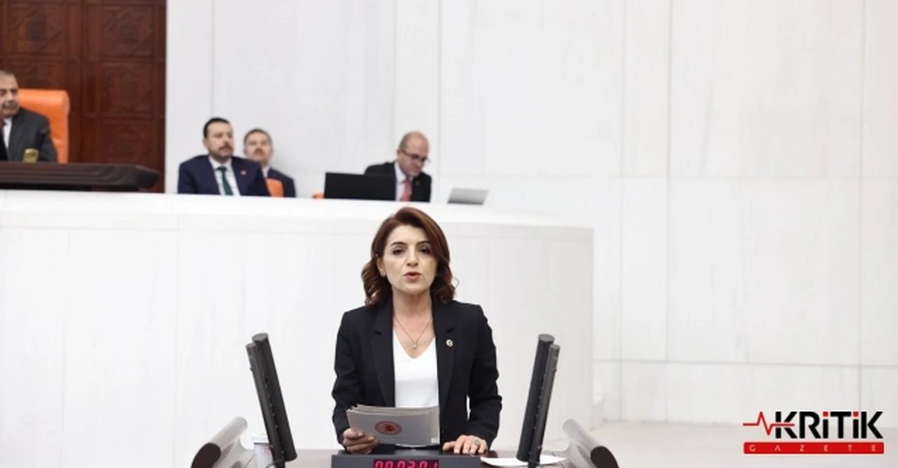CHP'li Gülcan Kış:2024 Yılında Kaç Kadın Cinayeti İşlendi?