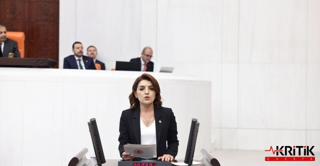 CHP'li Gülcan Kış:Hijyenin Sağlanamadığı Bir Okulda Eğitim Güvenli Olamaz