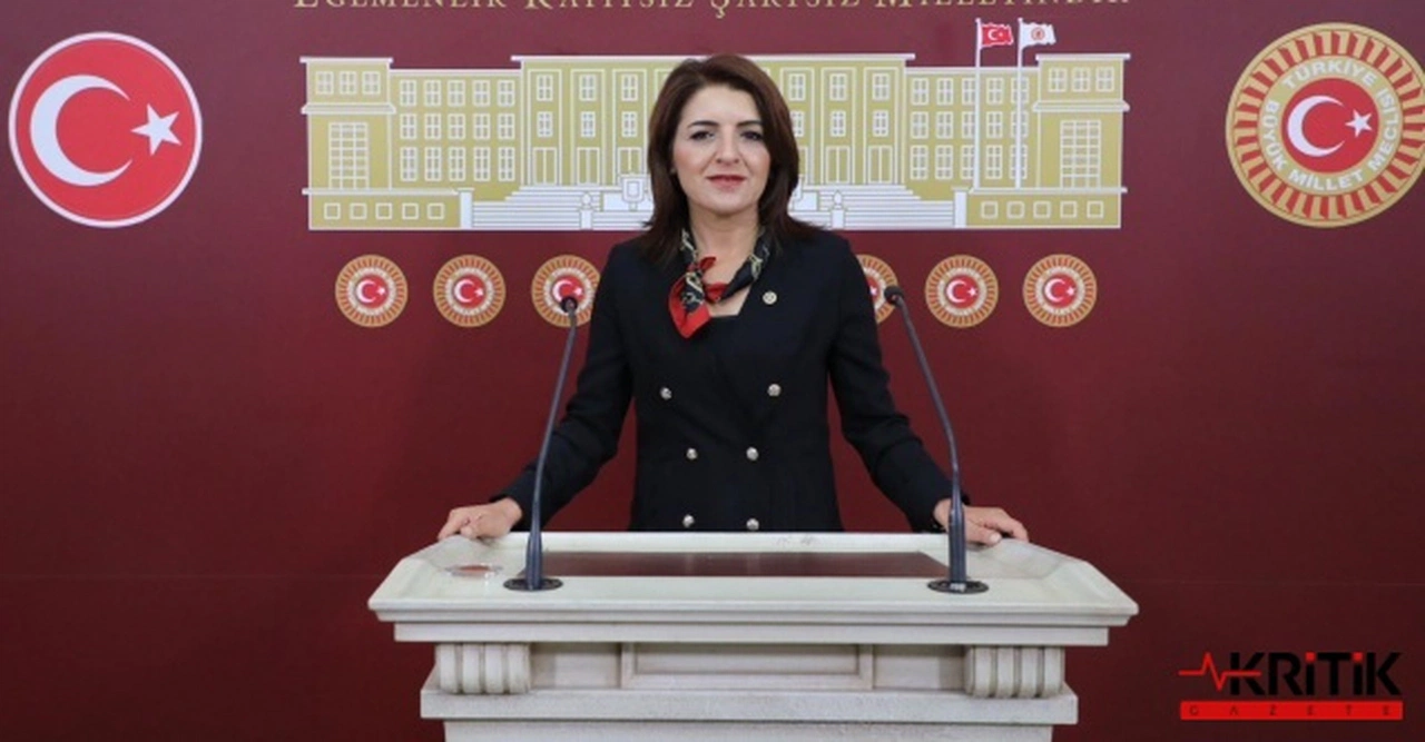 CHP MERSİN MİLLETVEKİLİ GÜLCAN KIŞ: "Turizmde Derinleşen Kriz:Pahalılık Yabancı ve Yerli Turistleri Vurdu, Sektör Zor Durumda"