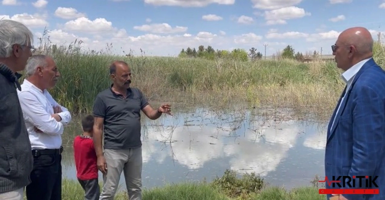 CHP’Lİ TANAL’DAN SURUÇ’TAKİ TABAN SUYU SORUNU İÇİN OMBUDSMANLIK’A ŞİKAYET!